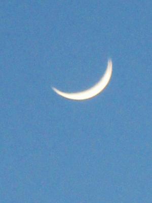IMG_1605.JPG