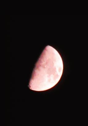 IMG_1661.JPG