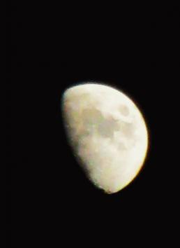 IMG_1783.JPG
