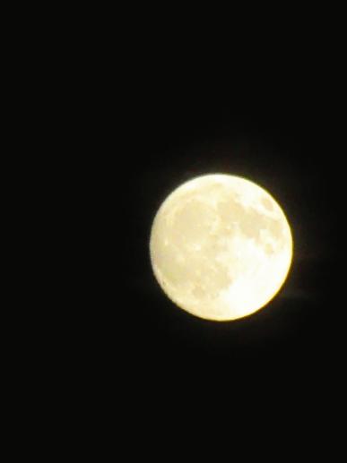 IMG_1793.JPG