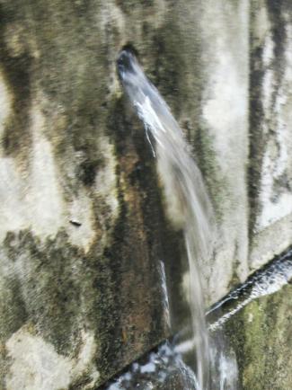 IMG_1839.JPG