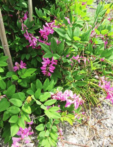 IMG_1846.JPG