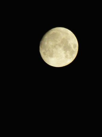 IMG_1898.JPG