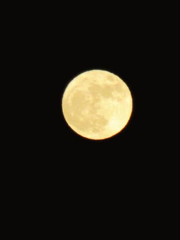 IMG_1954.JPG