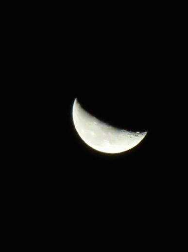 IMG_2069.JPG