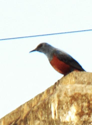 IMG_2256.JPG