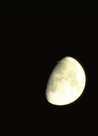 IMG_2622.JPG