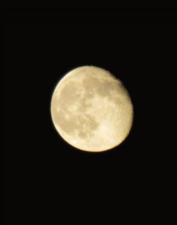 IMG_2878.JPG