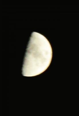 IMG_3830.JPG