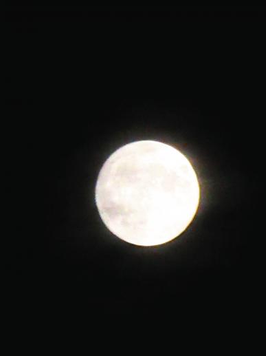 IMG_3967.JPG