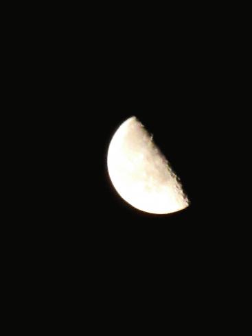 IMG_4302.JPG