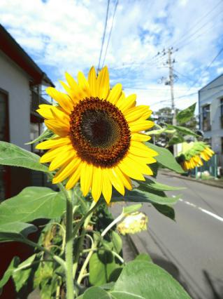 IMG_6085.JPG