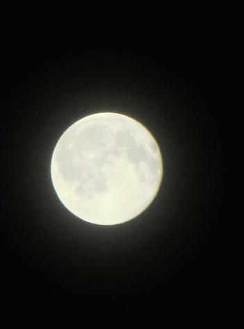 IMG_6231.JPG