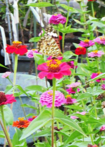 IMG_6684.JPG