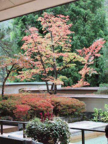 IMG_6792.JPG