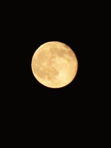 IMG_7285.JPG