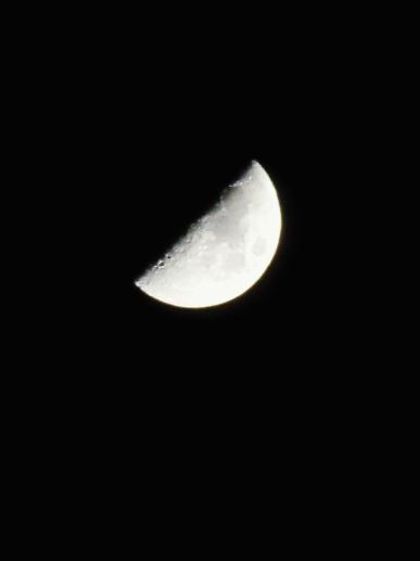 IMG_7872.JPG