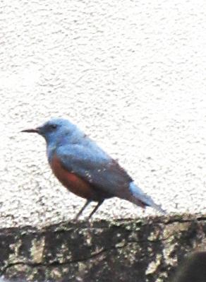 IMG_7957.JPG
