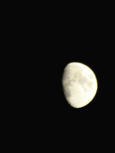IMG_8010.JPG