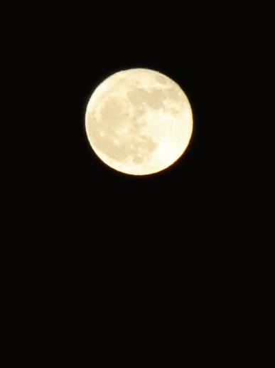IMG_8185.JPG