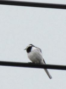 IMG_8643.JPG