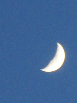 IMG_8715.JPG