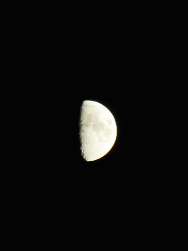 IMG_8789.JPG