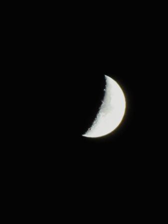 IMG_6986.JPG