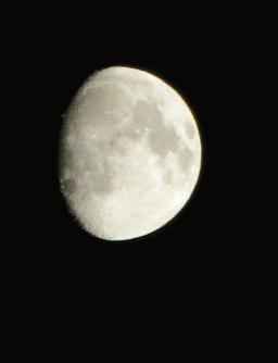 IMG_7121.JPG