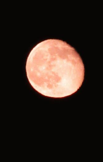 IMG_7319.JPG