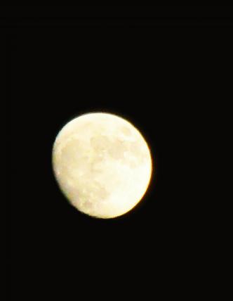 IMG_8879.JPG