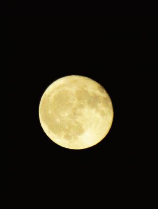 IMG_9000.JPG