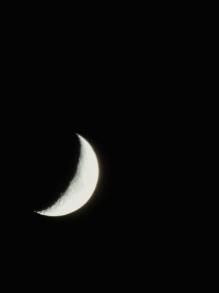 IMG_9497.JPG