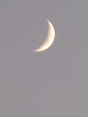 IMG_0481.JPG