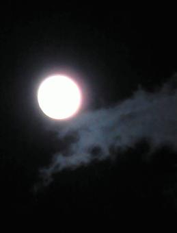 IMG_0913.JPG