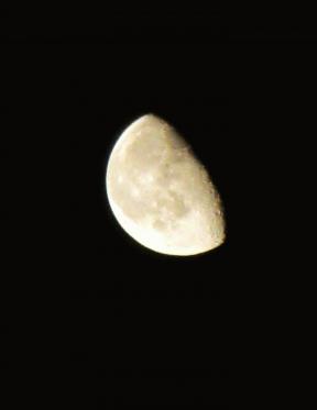 IMG_1149.JPG