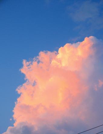 IMG_2327.JPG