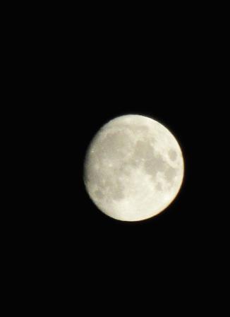 IMG_2790.JPG