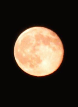 IMG_2851.JPG