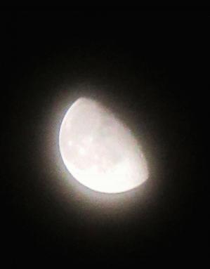 IMG_5275.JPG