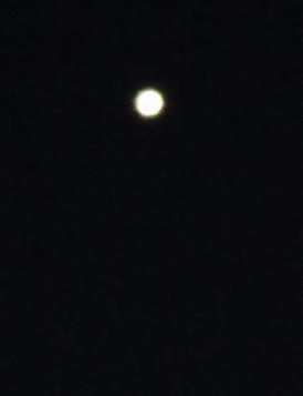 IMG_5662.JPG