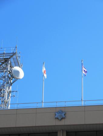 IMG_6542.JPG