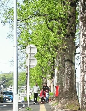IMG_7678.JPG