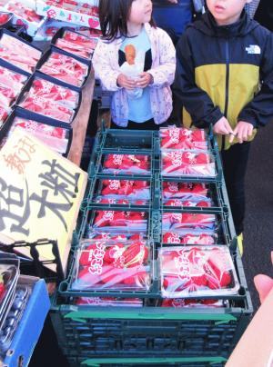 IMG_7760 - コピー.JPG