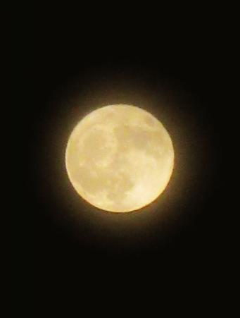 IMG_8960.JPG