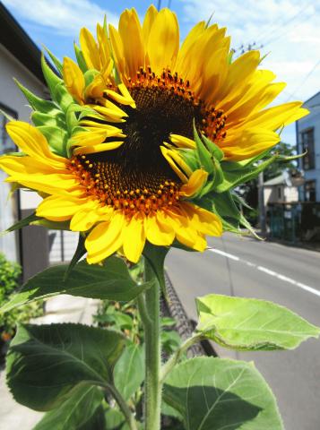 IMG_0418.JPG