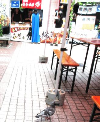 IMG_0422.JPG