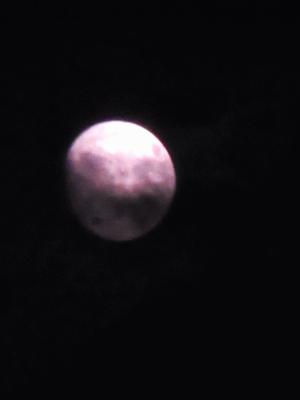 IMG_9800.JPG