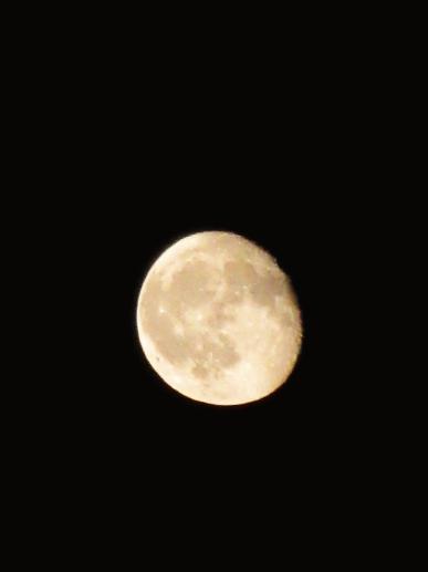 IMG_9920.JPG