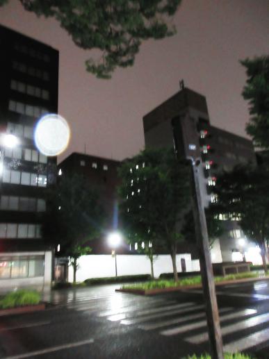 IMG_9977.JPG